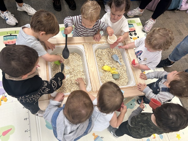 Group of toddlers exploring an oat sensory bin