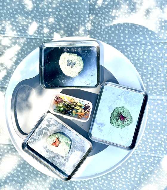 Overhead view of butterfly and starfish sensory trays