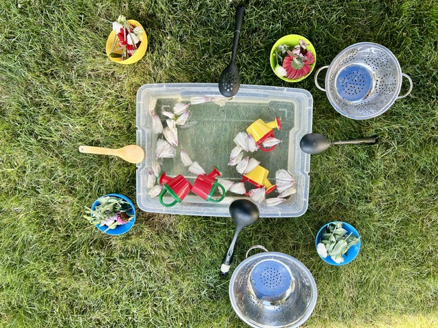 Overhead view of flower petals and water play station